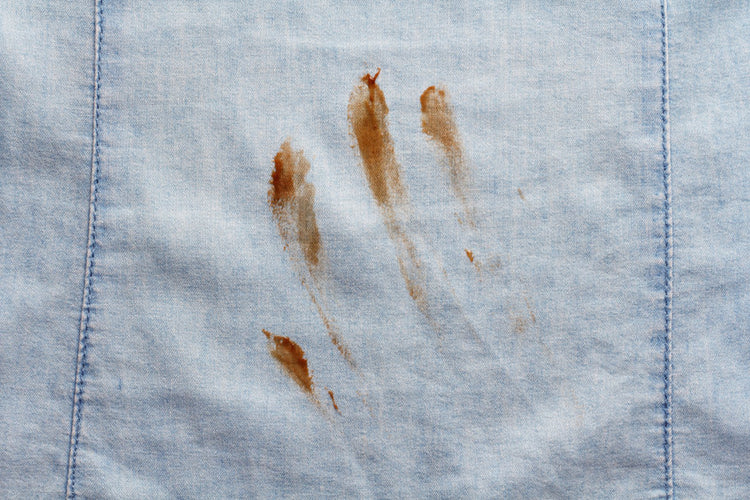 How to Remove Chocolate Stains in 4 Steps