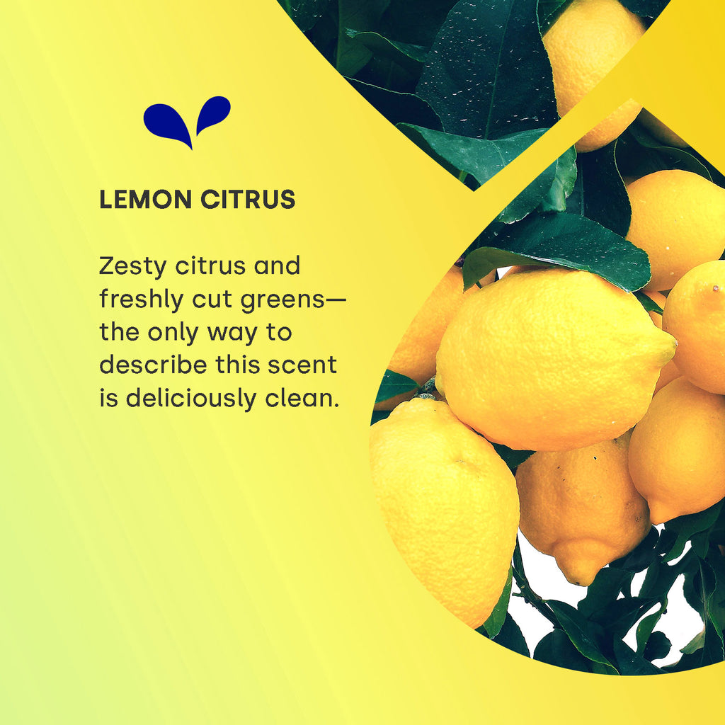 UltraWash Dishwasher Detergent Pods, Lemon Citrus Dropps