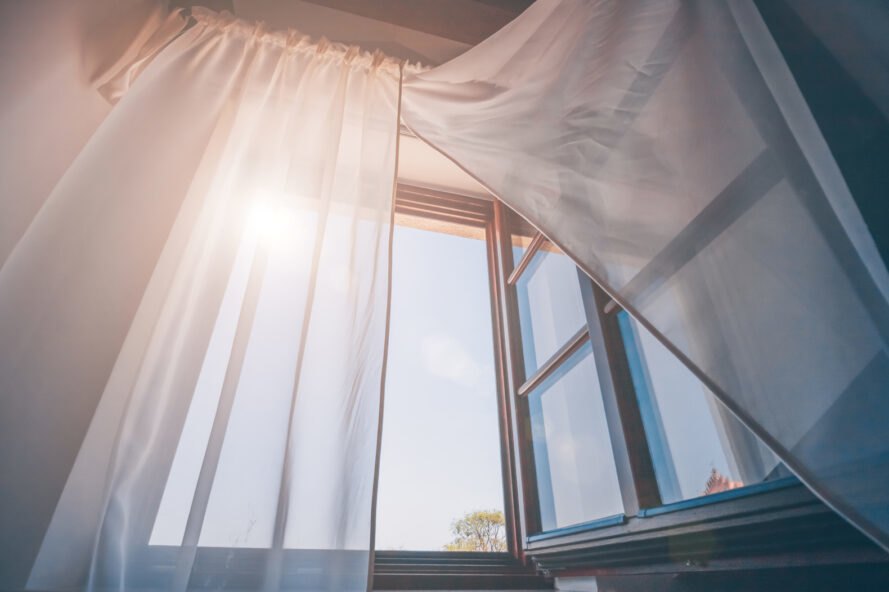 Clean Your Air at Home Naturally