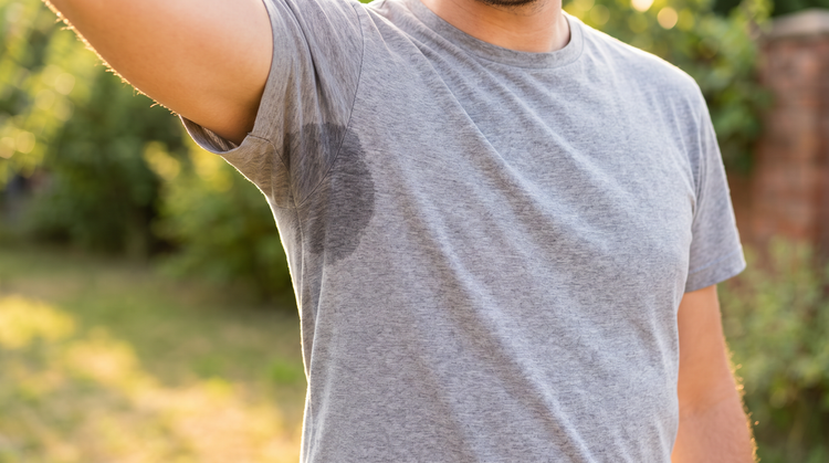 Why August Is Peak Odor Season (And What Actually Fixes It)