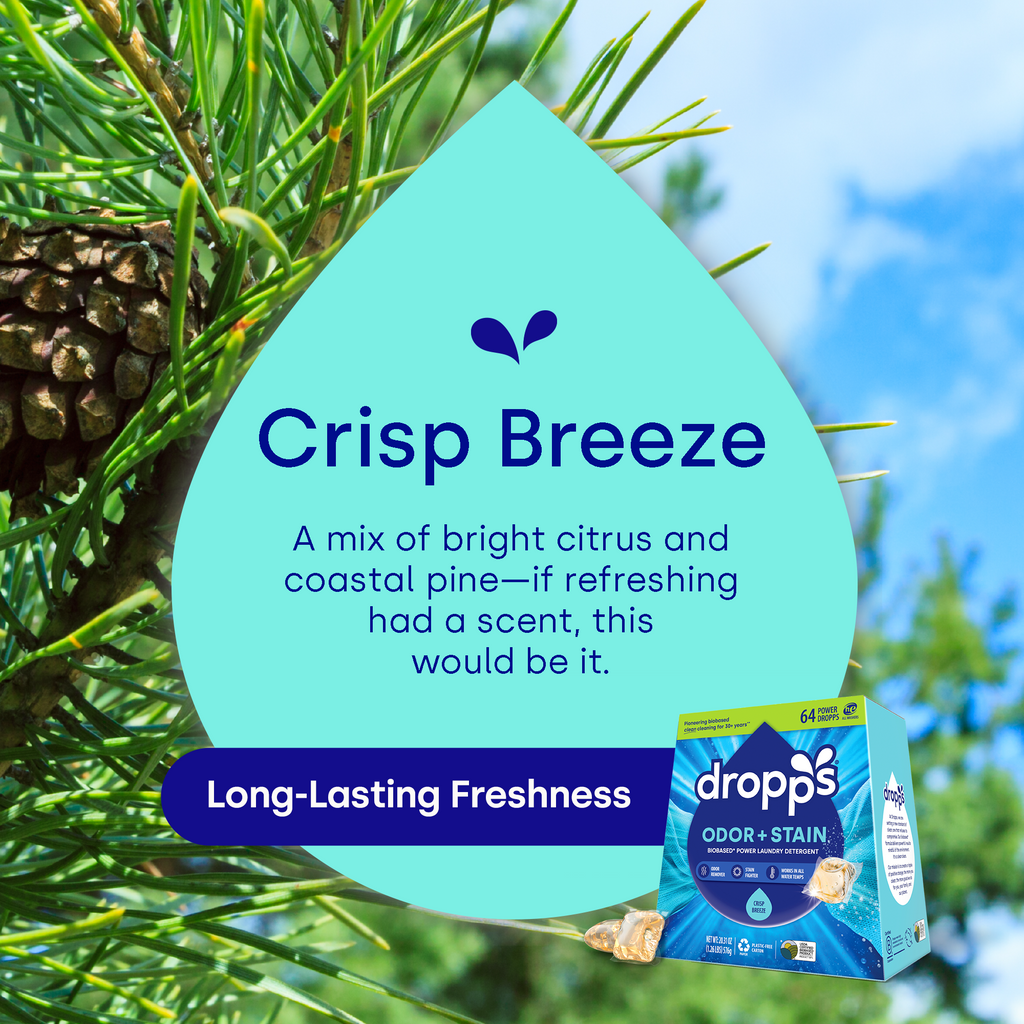 Laundry Starter Set, Crisp Breeze
