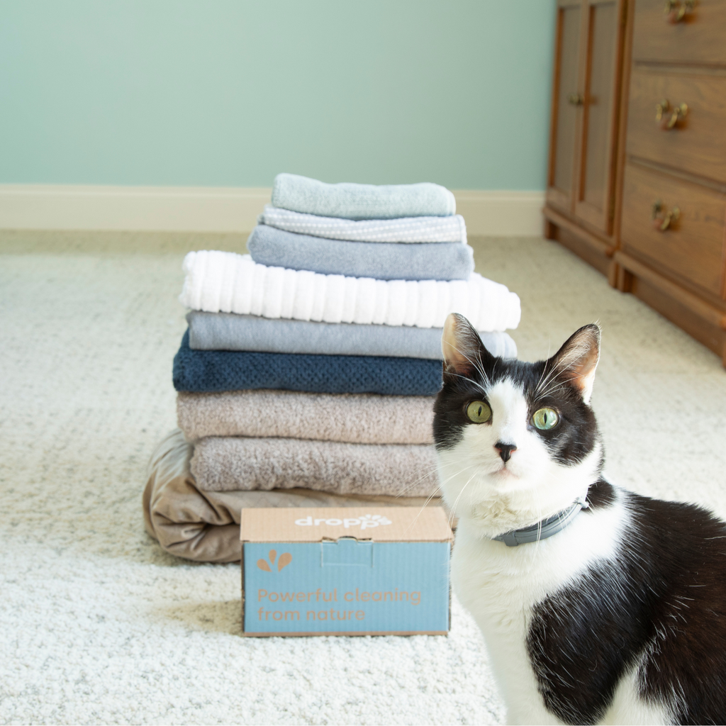 Stack of towels with Dropps box with black and white cat 