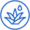 Icon of Aloe Vera