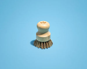 Stiff Bristle Hand Brush